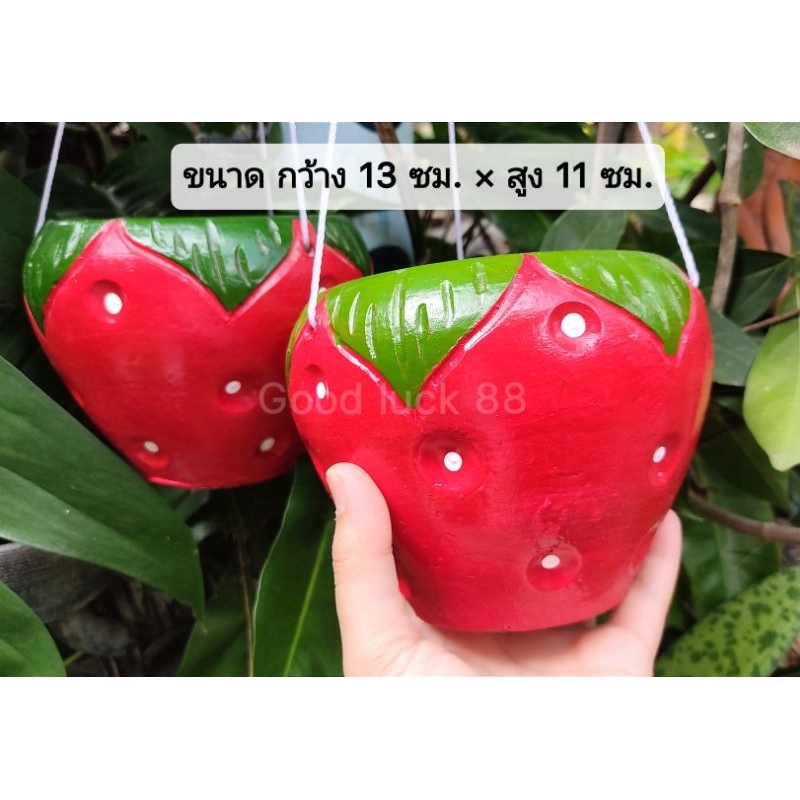 กระถางแขวนสตอเบอรี่/แตงโม ปลูกต้นไม้ – โปรปัง