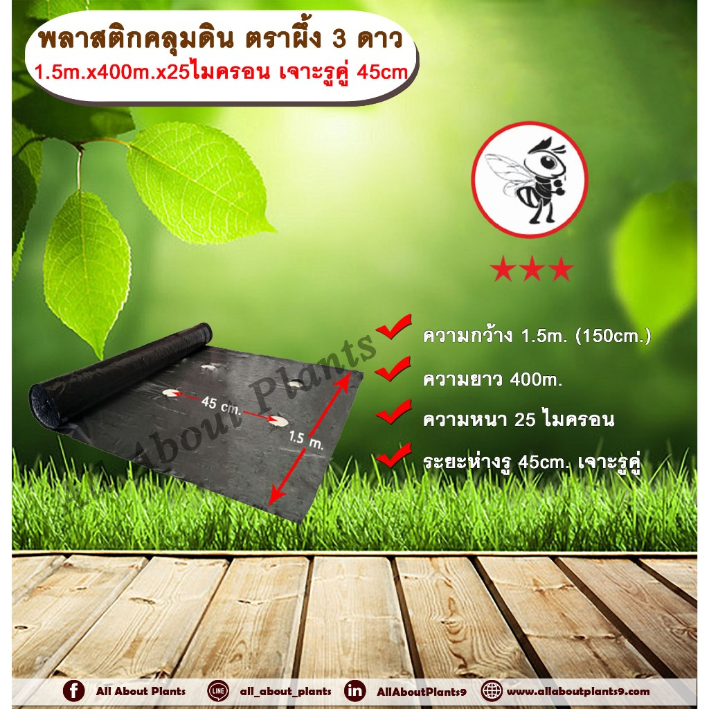 พลาสติกคลุมดิน ตราผึ้ง 3 ดาว กว้าง 1.5 เมตร ยาว 400 เมตร หนา 25 ไมครอน เจาะรูคู่ 45 เซนติเมตร พลาสติ