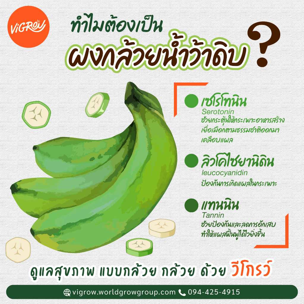 ผงกล้วยน้ำว้าดิบ ออร์แกนิก ตรา เวิลด์โกรว์ ออร์แกนิก ฟาร์ม - รูปที่ 3