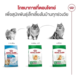⚡️ส่งด่วนมาก⚡️[[สุนัขเล็กโต]] [แบ่งขาย] Royal Canin Mini Indoor Adult