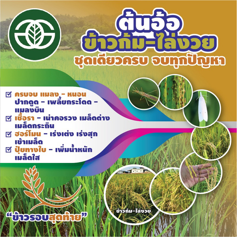 ชุดข้าวก้ม-ไล่งวย สำหรับฉีดข้าวรอบสุดท้าย 1ชุดฉีดได้10ไร่