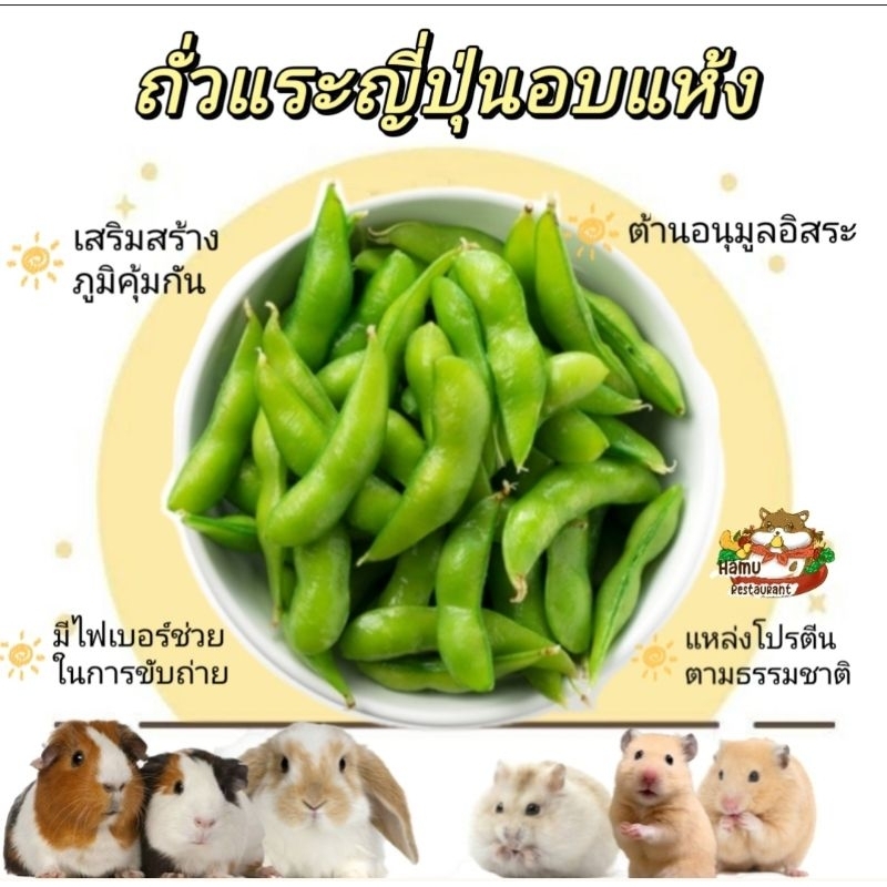 Hamu ❤️ ถั่วแระญี่ปุ่นอบแห้ง ลับฟัน ช่วยเสริมโปรตีนสำหรับสัตว์ฟันแทะ