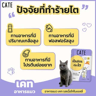 ยกโหล (12 ซอง) CATE เคท อาหารเปียกแมว สูตรเป็นมิตรต่อไต 70 g. อาหารเปียกแมวไม่ทำร้ายไต