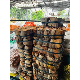 กะบะกาบมะพร้าว ถาดกาบมะพร้าว เครื่องปลูกยึดกล้วยไม้ (อัดแข็ง) Coconut Spathe
