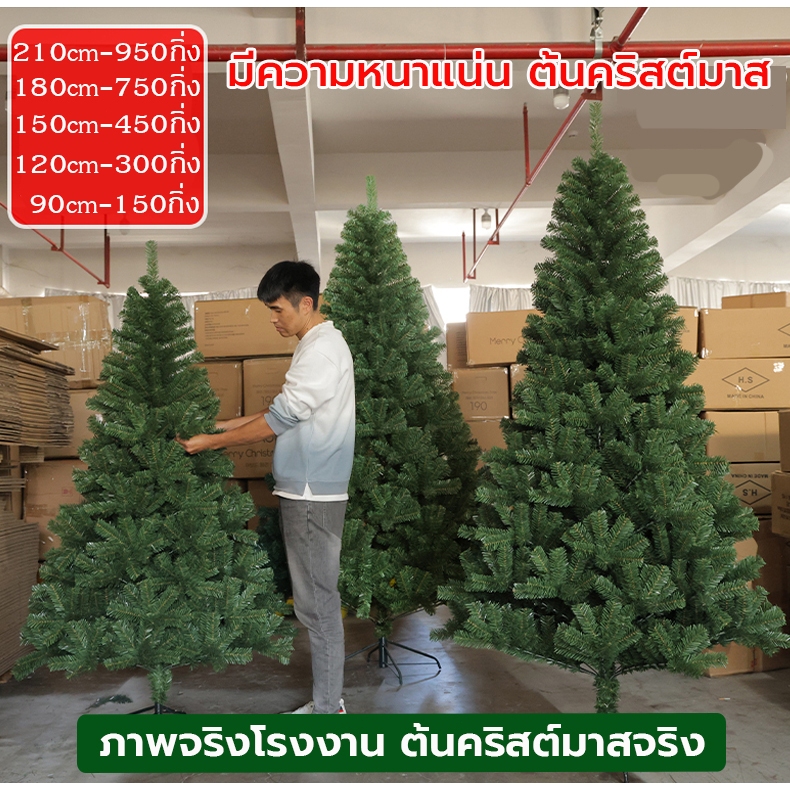 แถมของห้อย1ถุง ต้นคริสต์มาส ขนาดใหญ่ 90/120/150/180/210cm ตกแต่งคริสต์มาส christmas tree decoration คริสมาสต์ ส่งจากไทย