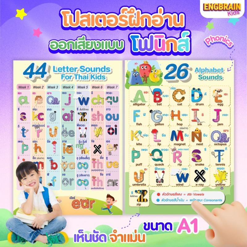 ส่งฟรี💖 ชุดโปสเตอร์ขนาด A1 /26 Alphabet Sounds + 44 LETTER SOUNDS FOR THAI KIDS