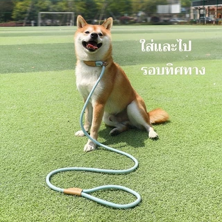 สายจูงสุนัข 🐶 สำหรับพันธุ์กลาง-ใหญ่ 🌈 มีหลายสี หลายไซส์ สายจูงหมา จูงสัตว์เลี้ยง ดีไซน์สวยมาก ✨