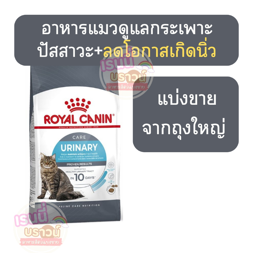 Royal Canin Urinary Care อาหารแมวลดนิ่ว บำรุงฉี่ ลดเสี่ยง 2 เท่าใน 10 วัน