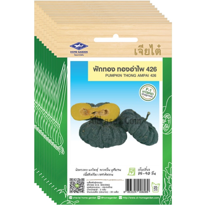 เมล็ดฟักทองทองอำไพ426 (รหัส A1277)