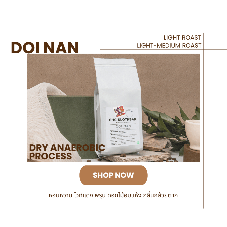 SHC SLOTHBAR เมล็ดกาแฟคั่ว Doi Nan ดอยน่าน dry anaerobic process