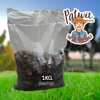 (2ถุง50)(15ถุงส่งฟรี)ใบก้ามปูหมัก ใบไม้ไม้หมัก ธรรมชาติ 1KG. ไนโครเจนสูง เพิ่มความร่วนซุย หมักแล้วพร้อมใช้