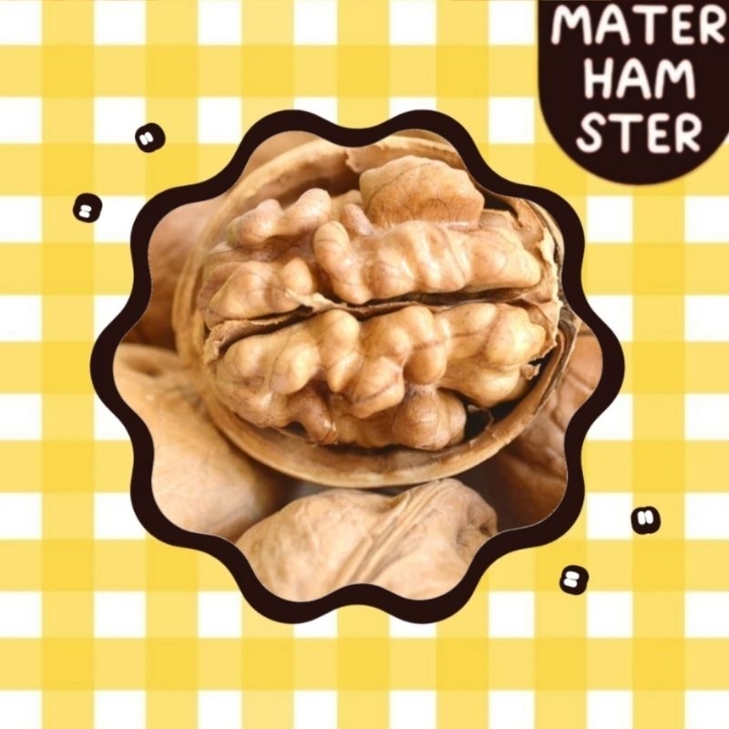 ถั่ววอลนัท Nuts Snack (แฮมสเตอร์ ชูก้าไรเดอร์ เม่นแคระ ดอเม้าส์ ขนมสัตว์ฟันแทะ)