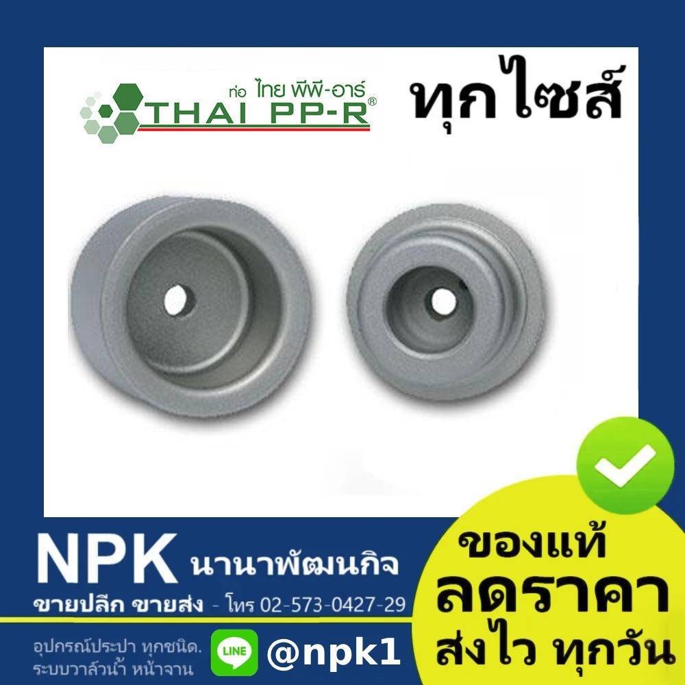 หัวเชื่อม พีพีอาร์ PPR (D20-D63) ไทยพีพีอาร์ (ท่อพีพีอาร์ Thai PP-R กดเลือกไซส์เอา)