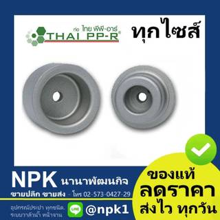 หัวเชื่อม พีพีอาร์ PPR (D20-D63) ไทยพีพีอาร์ (ท่อพีพีอาร์ Thai PP-R กดเลือกไซส์เอา)