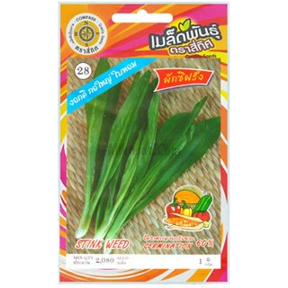 เมล็ดพันธุ์ ผักชีฝรั่ง ตราสี่ทิศ