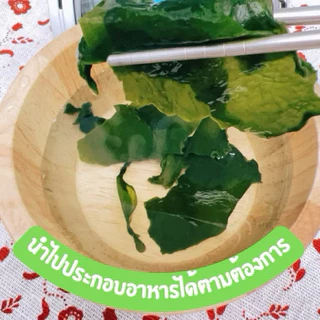 สาหร่ายวากาเมะ wakame dried seaweed (6M+) ทำความสะอาดมาแล้ว