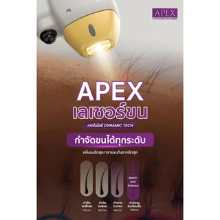 [E-Voucher] APEX เลเซอร์กำจัดขน กำจัดขนน้องสาว Whole Bikini 1ครั้ง (เฉพาะลูกค้าใหม่)
