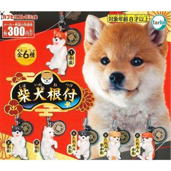 **ของแท้ พร้อมส่ง** สายห้อย พวงกุญแจ น้องหมา ชิบะ Capsule Shiba Inu Netsuke