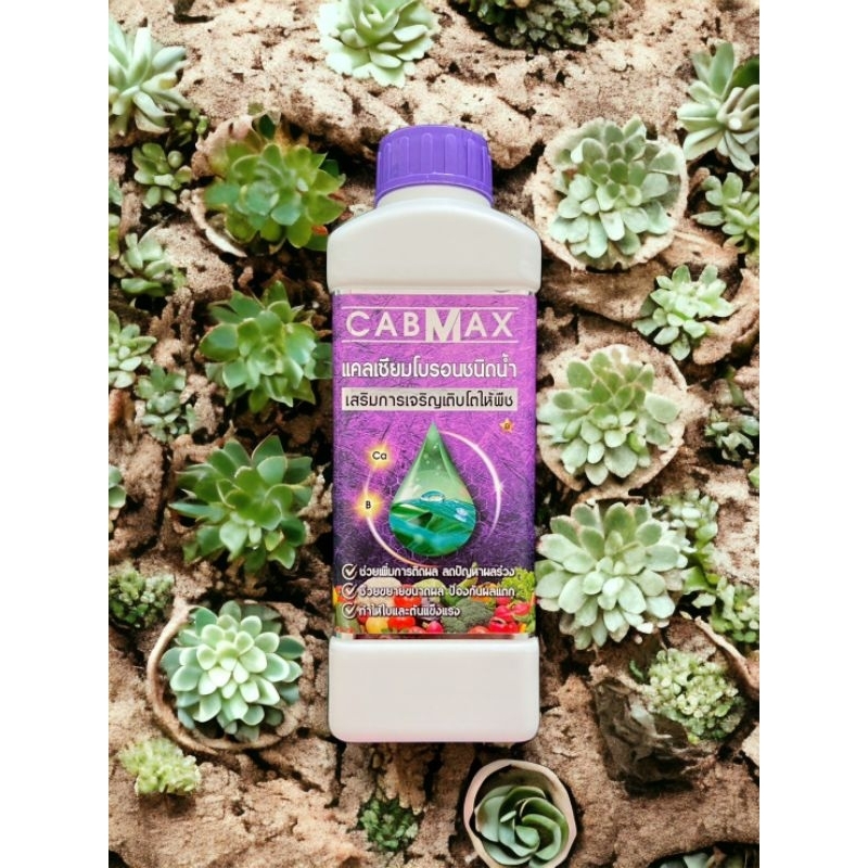 1 แถม 1 CABMAX + CABMAX (อาหารบำรุงพืช) - รูปที่ 5