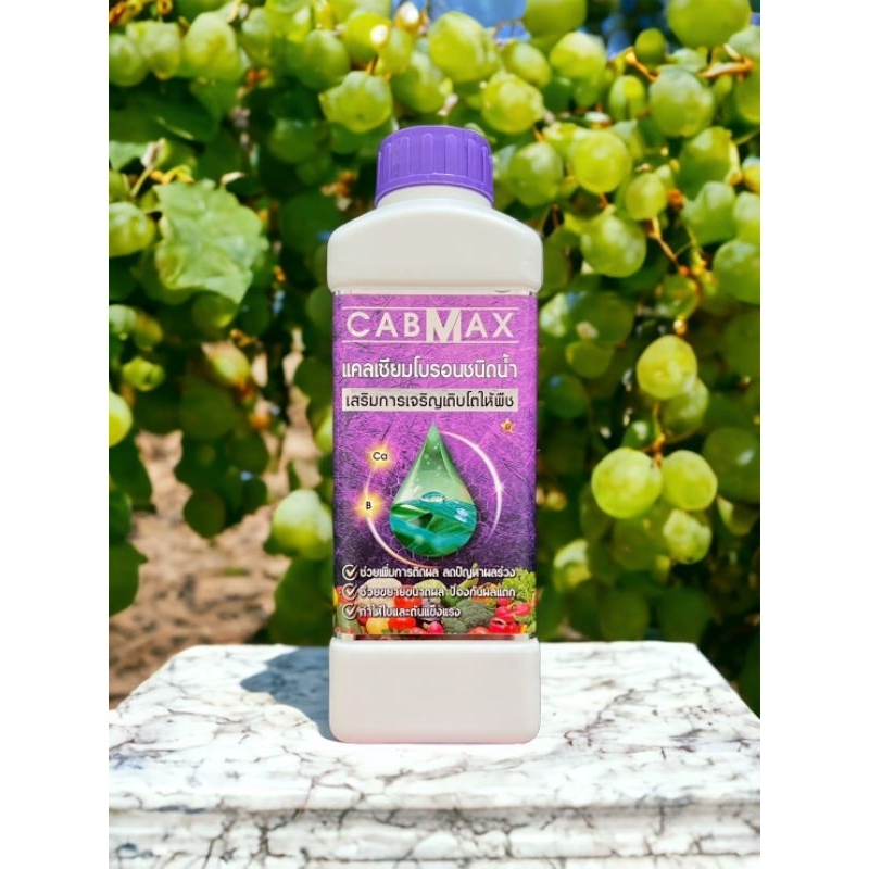 1 แถม 1 CABMAX + CABMAX (อาหารบำรุงพืช) - รูปที่ 3