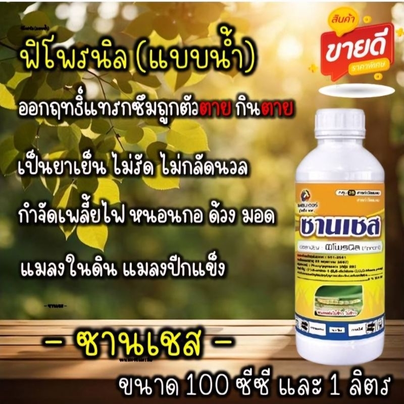ฟิโพรนิล (ชนิดน้ำ) ซานเชส กำจัดแมง หนอน ด้วง มอด แมลงใต้ดิน 100 ซีซี