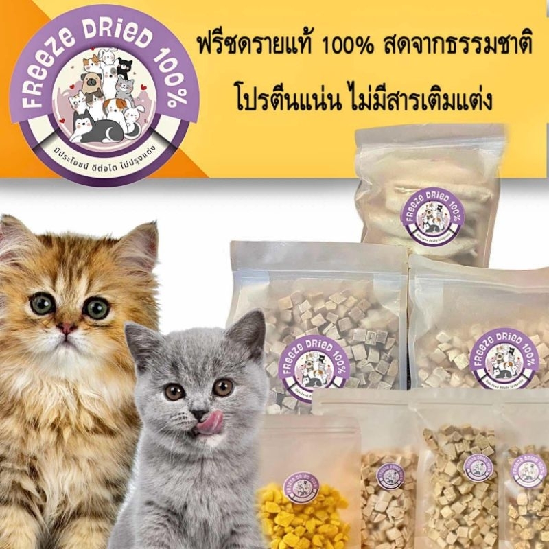 ฟรีซดรายแมว ขนมสัตว์เลี้ยง Freeze dried 100% ปลอดภัยไก่ อกไก่ แซลมอน ตับไก่ หญ้าแมว ไข่แดง เป็ด