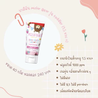 ใหม่ 🦷 Molar Bear - ยาสีฟันเด็ก ฟลูออไรด์ 1000ppm รุ่น Baby, Toddler 40 กรัม ยาสีฟันที่ทันตแพทย์แนะนำ