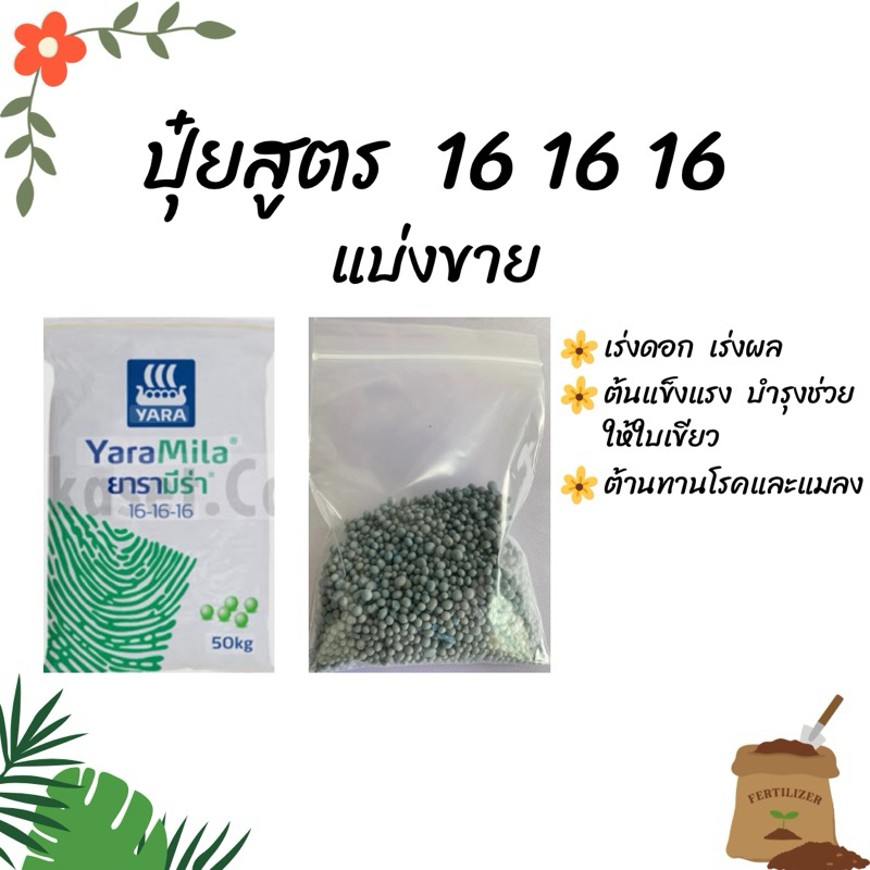 ปุ๋ยสูตร Yara แย่งขาย 16 16 16  เหมาะสำหรับไม้ผล พืชผักสวนครัว