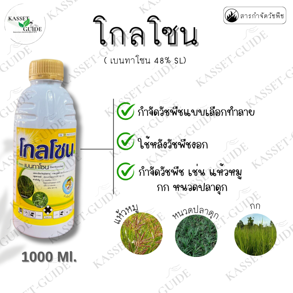 โกลโซน ( bentazone 48% SL ) 1000 ML