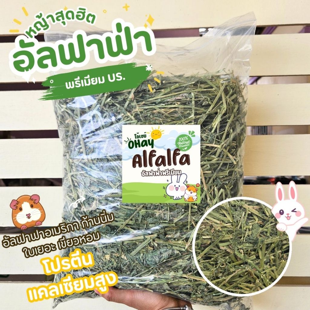 🔥Ohay ส่งฟรี!!🔥 หญ้าอัลฟาฟ่าพรีเมียมอเมริกาปึกไม่ร่อนฝุ่น หญ้ากระต่าย 5 กก.