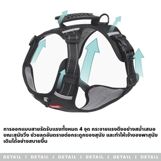 chishop สายจูงรัดอกสัตว์เลี้ยง กันดึง เชือกไนล่อนถัก เกรดเงา 4สี