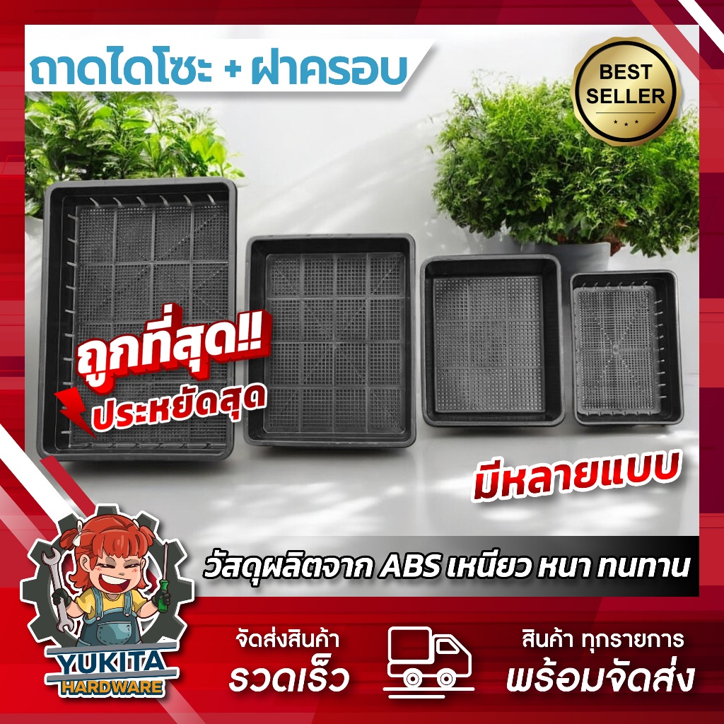 ถาดไดโซะ ถาดปลูกต้นไม้ เพาะต้นอ่อน เพาะกล้าข้าว เพาะชำ เพาะเมล็ด ถาดทึบ มีรู แบบสูง กลาง เตี้ย