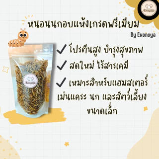 หนอนนกอบแห้ง โปรตีนสูง สำหรับสัตว์เลี้ยง ดัมโบ้แรท แฮมสเตอร์ เม่นแคระ ชูการ์