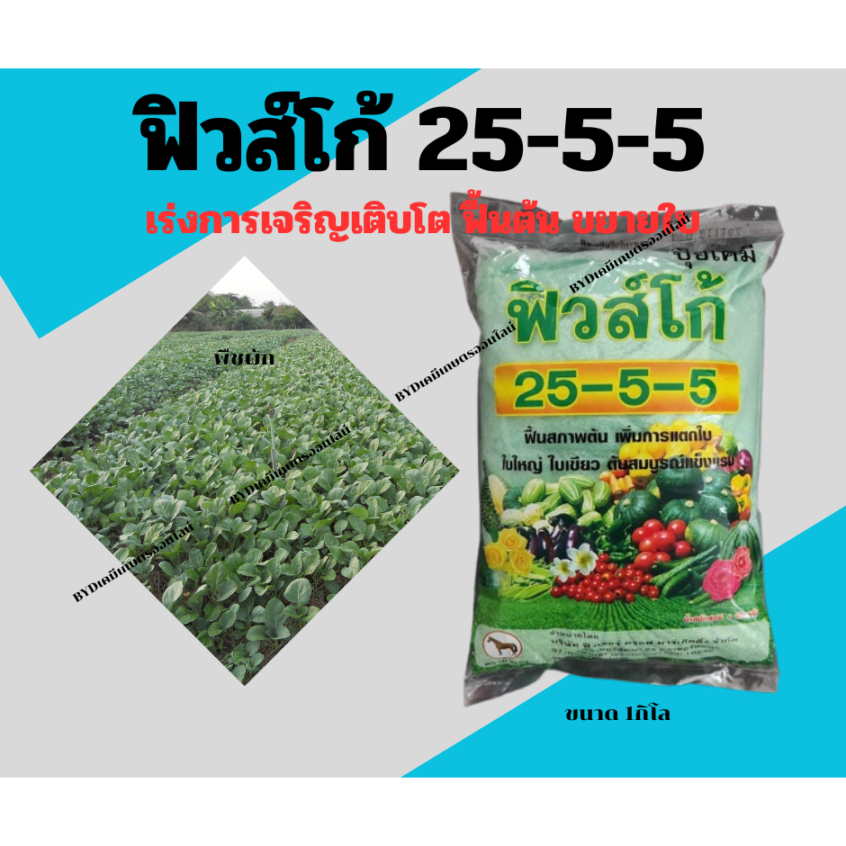 ปุ๋ยเกล็ดฟิวส์โก้ สูตร25-5-5 ปุ๋ยเกล็ดสำหรับเร่งต้นให้เจริญเติบโตสมบูรณ์ ฟื้นต้นหลังการเก็บเกี่ยว เร่งการแตกยอด ขยายใบ