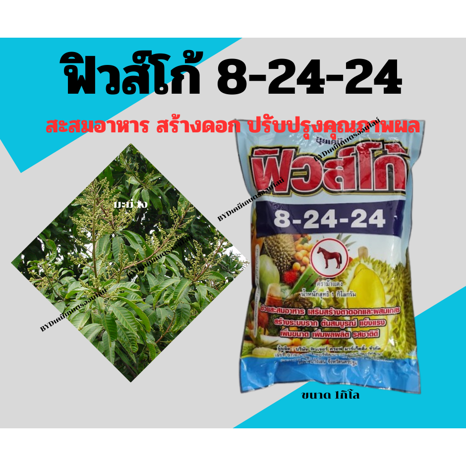 ปุ๋ยเกล็ดฟิวส์โก้ สูตร 8-24-24 ขนาด1กิโล  ปุ๋ยเกล็ดทางใบฉีดพ่นเพื่อสะสมอาหาร เร่งดอก กระตุ้นการออกดอก ดอกดก ผลดก ขยายผล