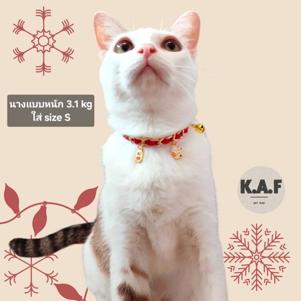 (A04)(พร้อมส่งจากไทย!) ปลอกคอนิรภัย ธีมตรุษจีน สำหรับสัตว์เลี้ยง - รูปที่ 4