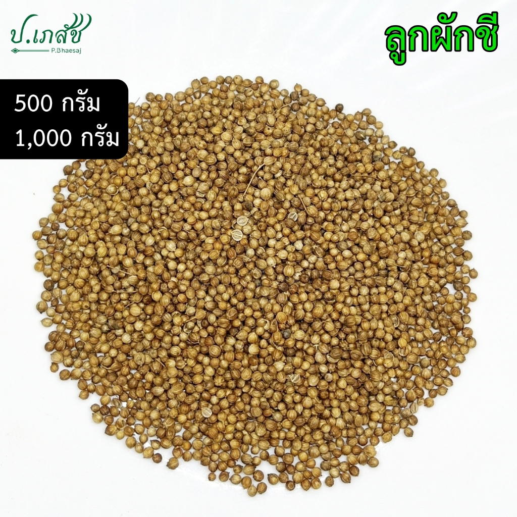 ลูกผักชี [500 / 1,000 กรัม] เม็ดผักชี เมล็ดผักชี Coriander seeds