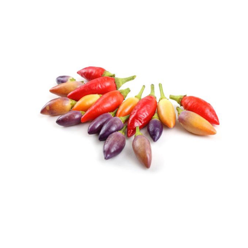 100 เมล็ด เมล็ดพันธุ์ พริกสีรุ้ง พริก 7 สี โตไว พุ่มใหญ่ปลูกประดับสวยมาก พริกประดับ สีสวย - รูปที่ 6