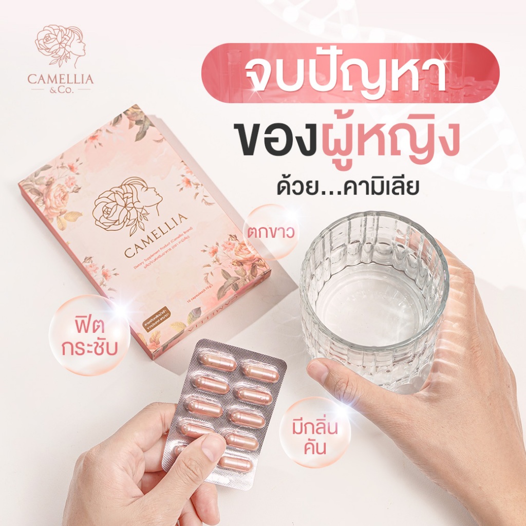 อาหารเสริมสำหรับผู้หญิง ผิว มีกลิ่น คัน Camellia อาหารเสริมคามิเลีย