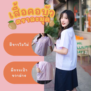 (ปักชื่อฟรี สั่งขั้นต่ำ 2 ตัว) เสื้อนักเรียน คอบัว ตราละมุด ใส่สบาย ราคาถูก ✅พร้อมส่ง ✅มีบิลเบิกโรงเรียน