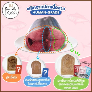 KUMAま Pramy พรามี่ อาหารเปียกแมว สูตรลูกแมว แมวโต แมวสูงวัย ครบสูตร Human Grade 70g.