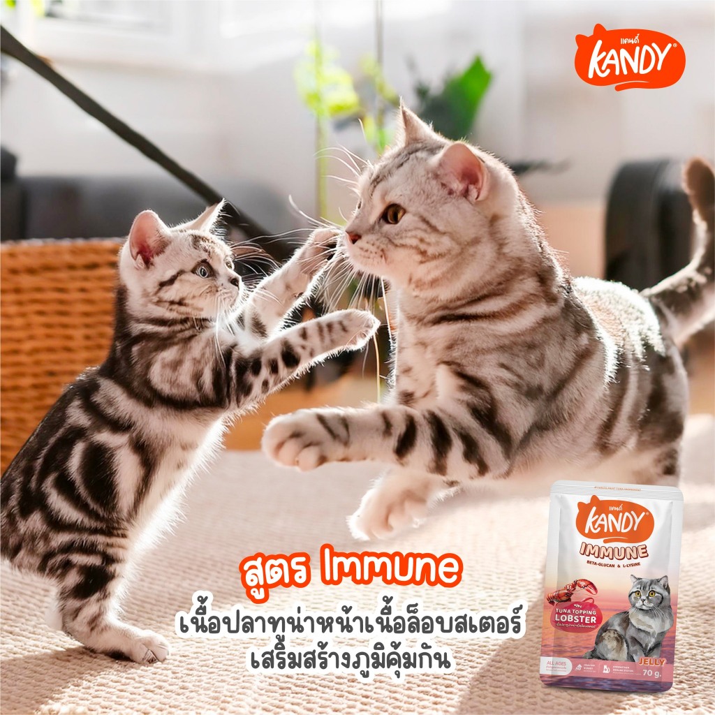 😻 Kandy Kandy อาหารเปียกแมว แคนดี้ ขนาดซองละ 70 กรัม [แบบลัง 48ซอง] - รูปที่ 4