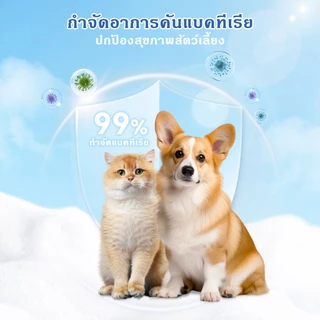 PET LIFE ผ้าเช็ดทำความสะอาดสัตว์เลี้ยง ผ้าเช็ดแมว ผ้าเช็ดสุนัข ผ้าเช็ดสัตว์เลี้ยง 80 ชิ้น ผ้าเช็ดทำความสะอาด
