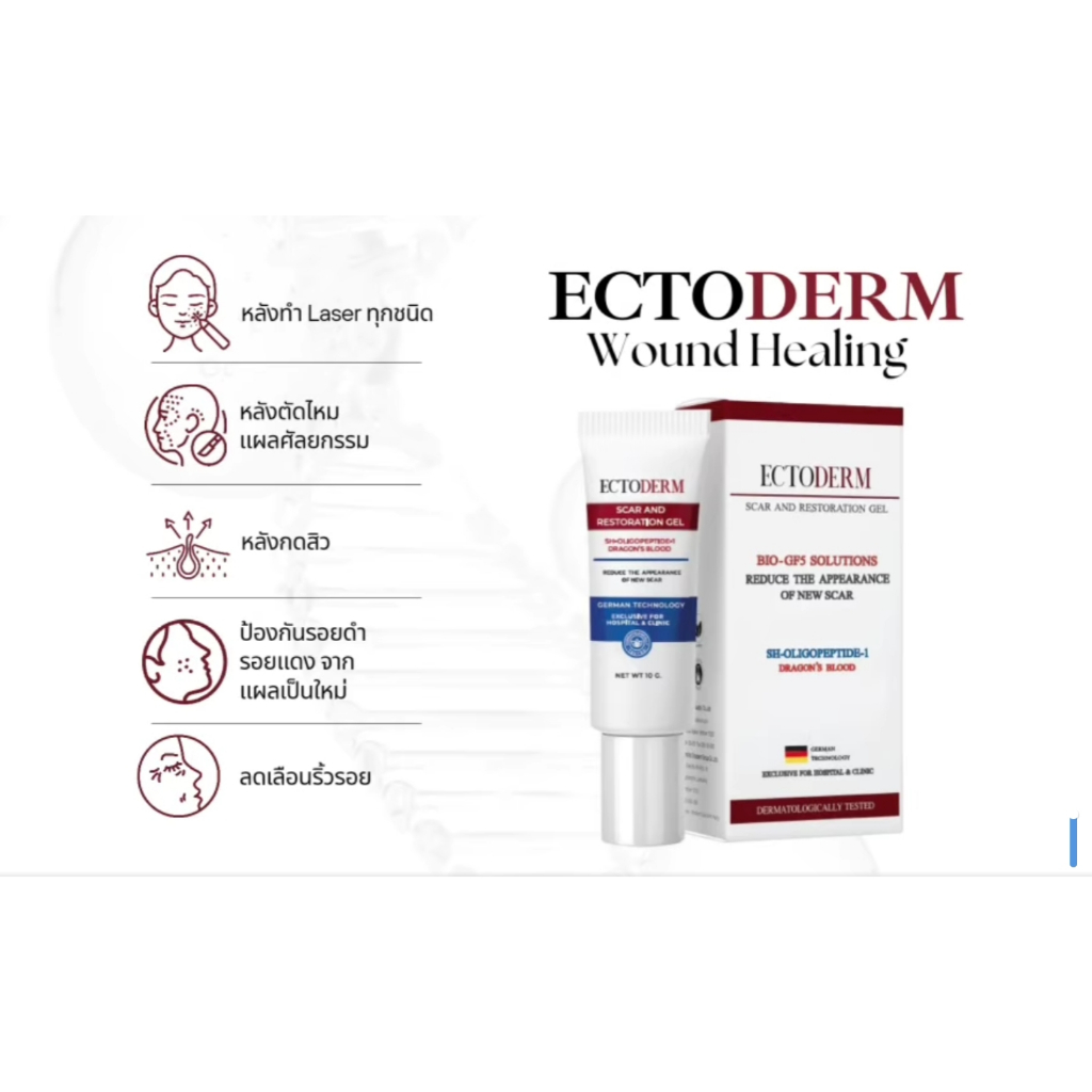 ECTODERM Scar and Restoration Gel ผลิตภัณฑ์ที่ช่วยสมานแผล Exp.05/09/2026