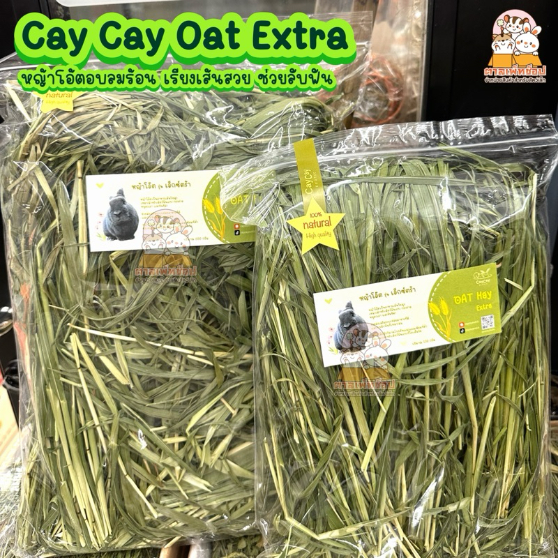 พร้อมส่ง Cay Cay Oat Extra หญ้าโอ๊ตอบลมร้อน เขียวสวย ก้านเหนียว ช่วยลับฟัน