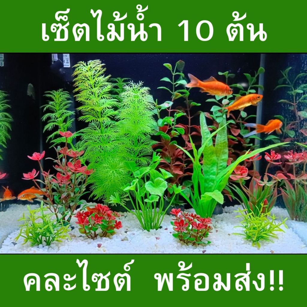 ต้นไม้พลาสติกตกแต่งตู้ปลา เซ็ต 10 ต้น คละไซต์