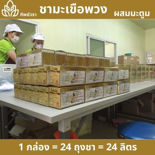 ชามะเขือพวง มี 24 ถุงชา ชนิดเข้มข้น ชงปุ๊บ ออกปั๊บ