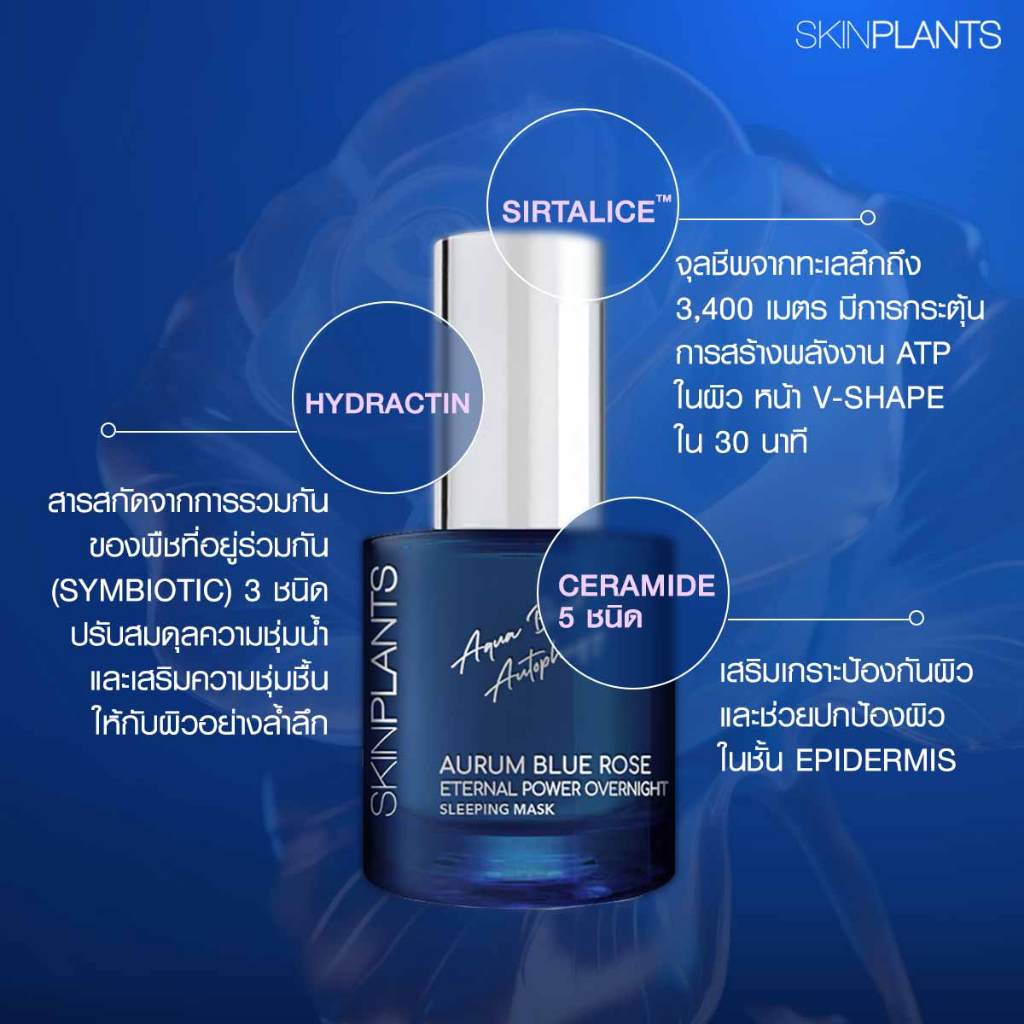 SKINPLANTS BLUE ROSE OVERNIGHT SLEEPING MASK ล๊อคน้ำในผิว จัดการ Zombie Cell ลดอายุผิว — صورة 5