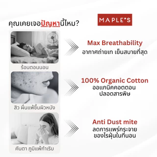MAPLE'S ผ้าปูออเเกนิคคอตตอน สําหรับคนขี้ร้อน ฟูก10-14นิ้ว​ รัดมุม กันไรฝุ่น 3.5 5 6ฟุต ผ้าปูฝ้าย
