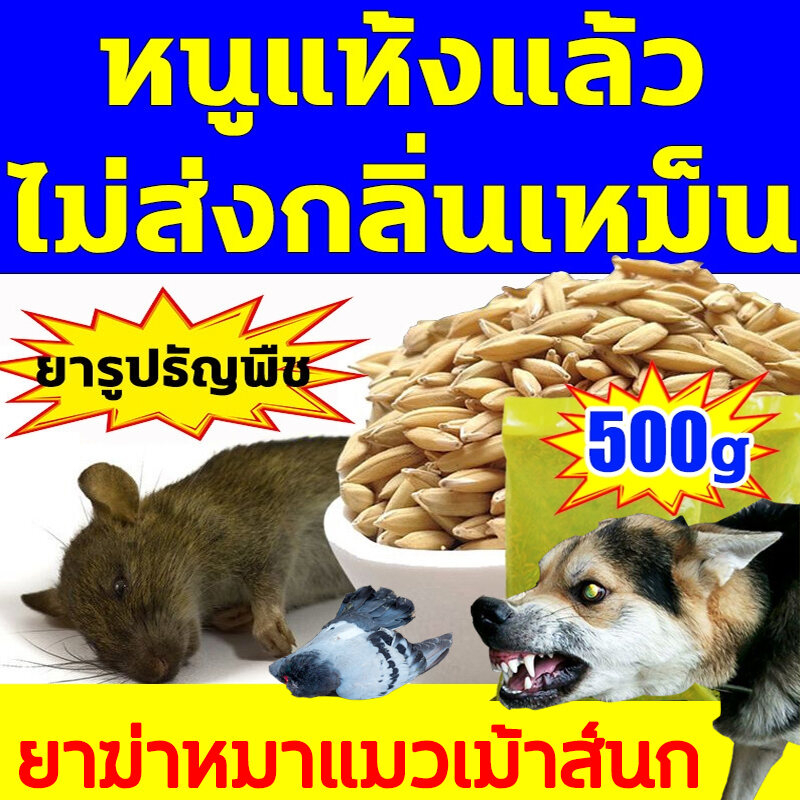 1ซองฆ่าหนู10000ตัว ยาเบื่อหนูตายแห้งไม่มีกลิ่น 500gตายแห้ง ไม่เหม็น ยากำจัดหนู เหยื่อกำจัดหนู ไล่หนู ยาเบื่อหนูแห้ง